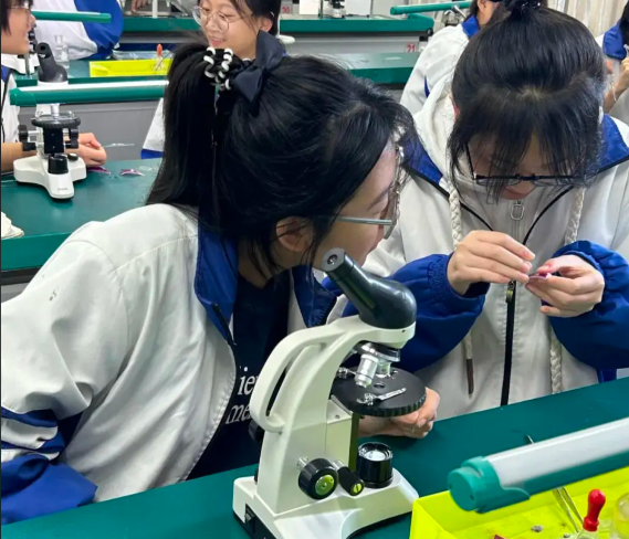 当中的讲堂经过光纤直达讲堂当名师在“专递讲堂”上为乡村孩子答疑 当中的讲堂经过光纤直达讲堂当名师在“专递讲堂”上为乡村孩子答疑